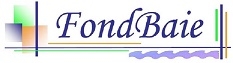 logo-wizishop-fondbaie